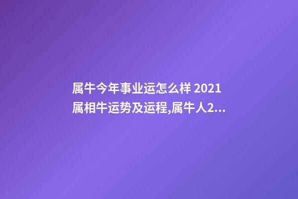 属牛今年事业运怎么样 2021属相牛运势及运程,属牛人2021年全年运势详解-第1张-观点-玄机派